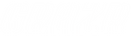 logo on a black background
